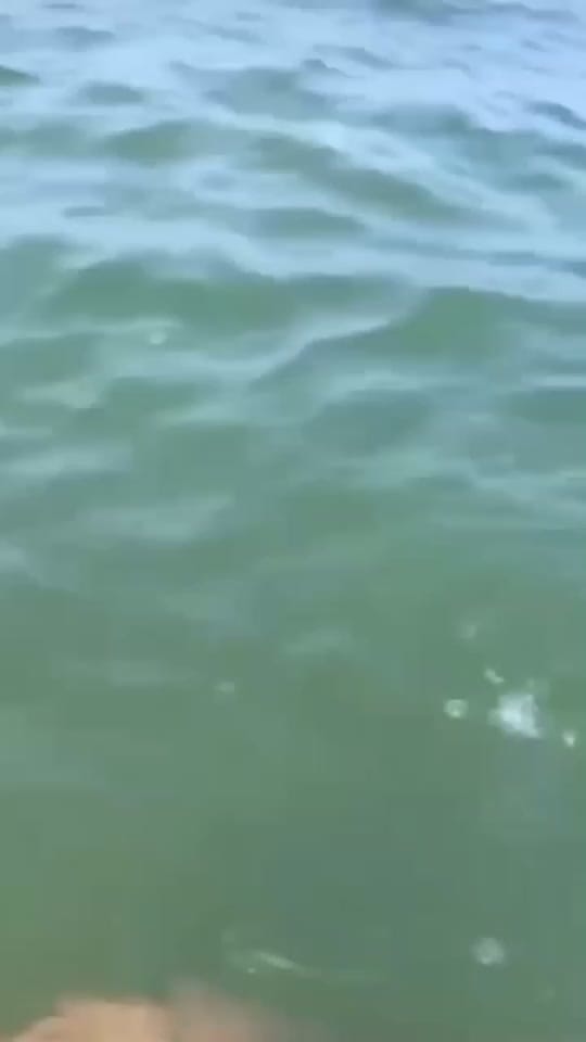 Post 7 by ＤＲ•ＡＢＡＳ on TikTok (video)