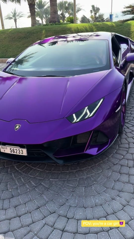 Post 8 by Sara Nasseredine 🇦🇪 on TikTok (video)