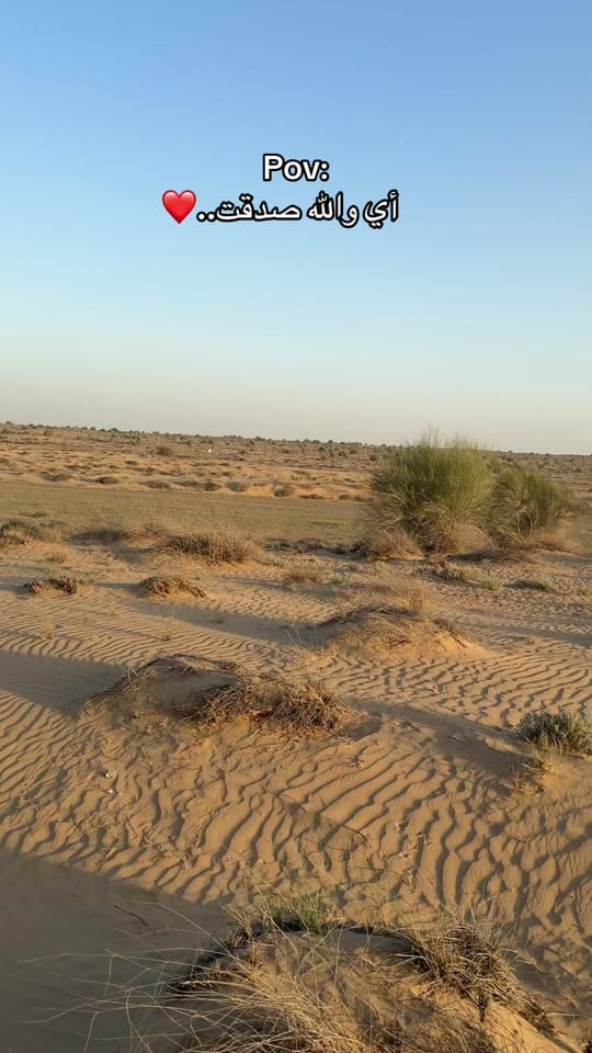 Post 7 by drkholoud on TikTok (video)