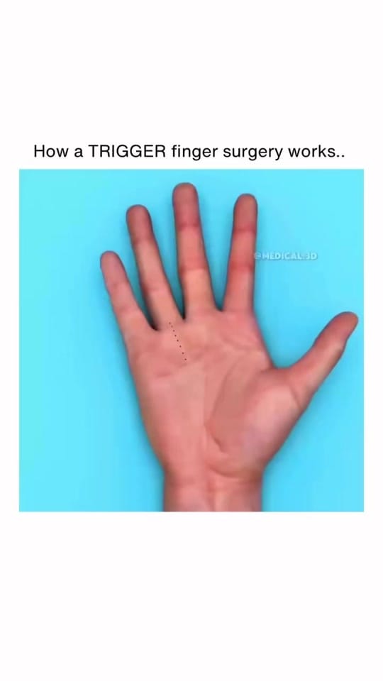 Post 5 by Dr. Ramiz Hegazy on TikTok (video)