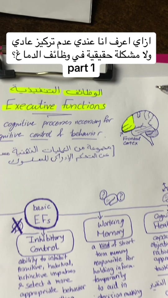 Post 6 by Salma Kamal on TikTok (video)