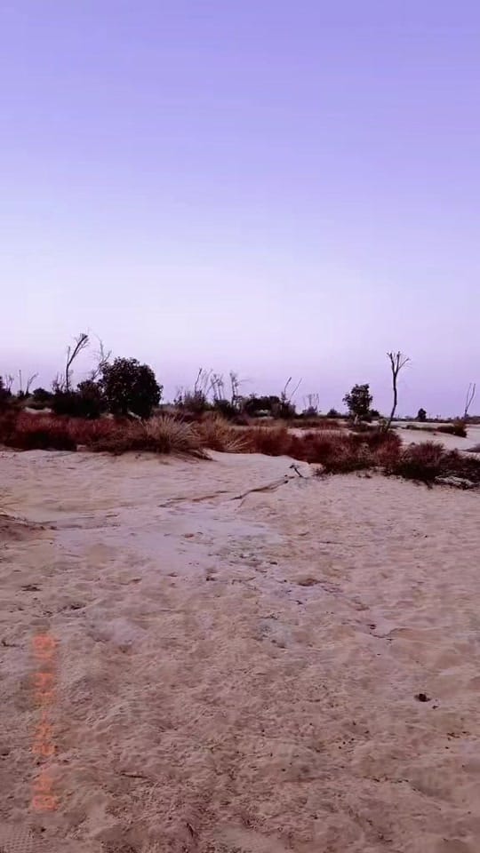 Post 8 by ShaluSuriOfficial on TikTok (video)