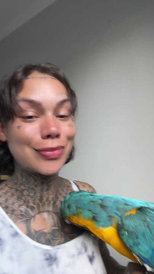 Post 3 by Jutocachellis on TikTok (video)