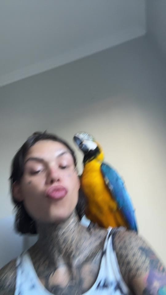 Post 1 by Jutocachellis on TikTok (video)