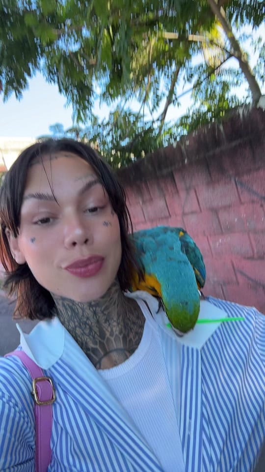 Post 9 by Jutocachellis on TikTok (video)