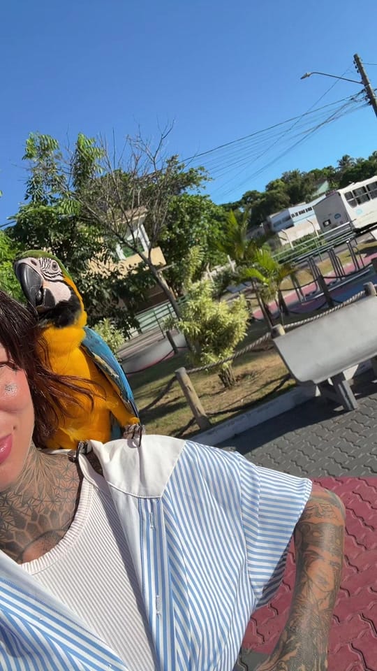 Post 6 by Jutocachellis on TikTok (video)