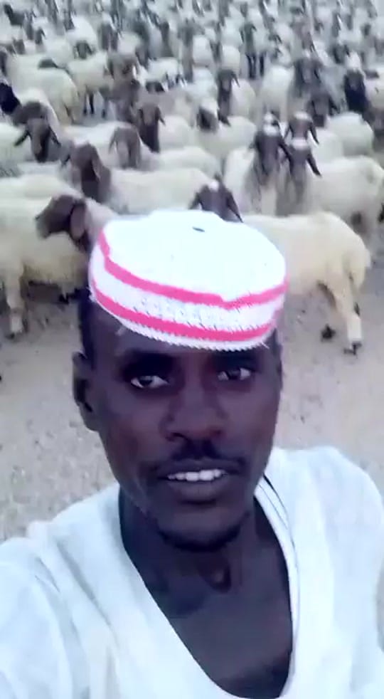 Post 5 by Omeed alblooshi on TikTok (video)