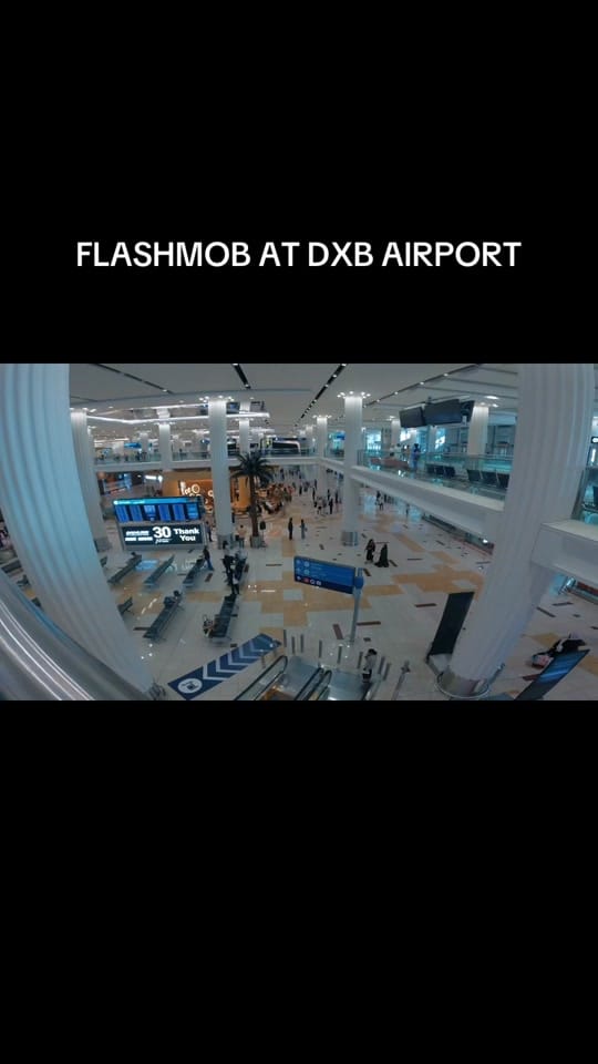 Post 8 by City1016 on TikTok (video)