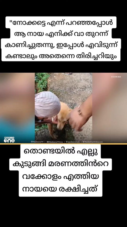 Post 9 by 😎തലശ്ശേരികാരൻ😎 on TikTok (video)