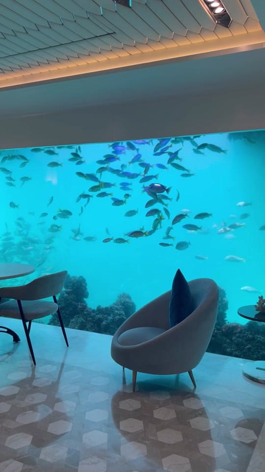 Post 5 by Luxury Living on TikTok (video)