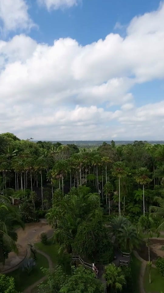 Post 3 by Luxury Living on TikTok (video)