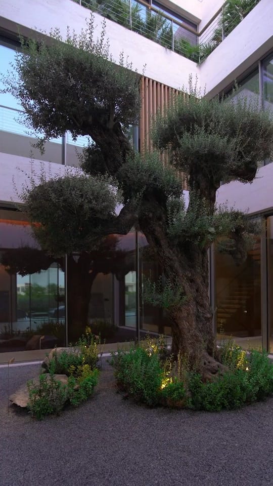 Post 2 by Luxury Living on TikTok (video)