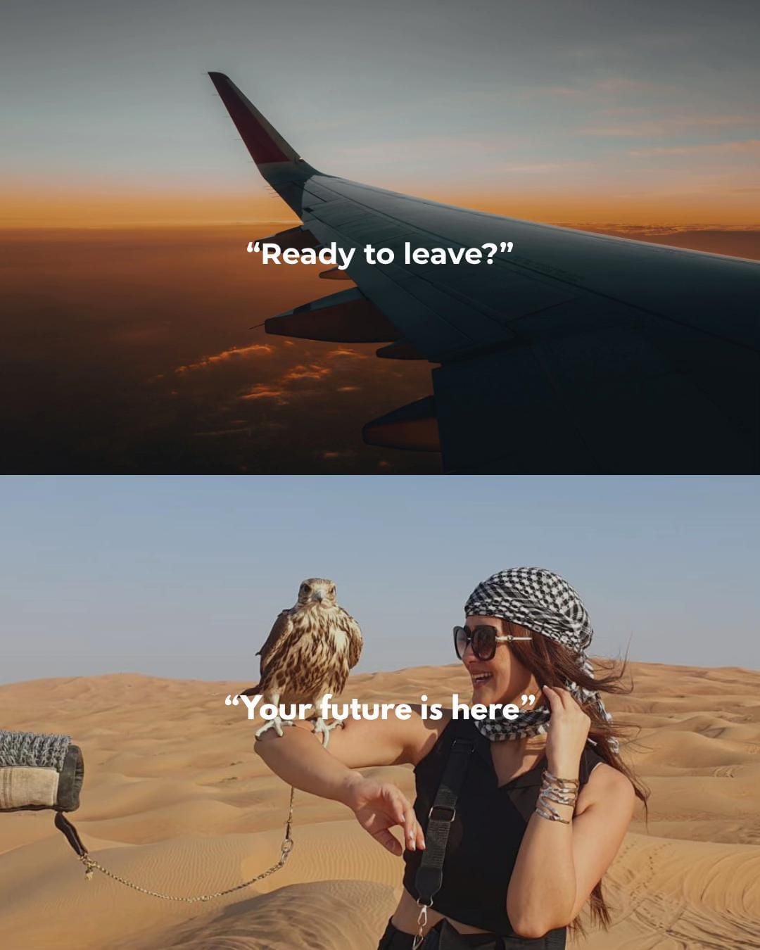 Post 8 by Sarah El Hajjar on TikTok (video)