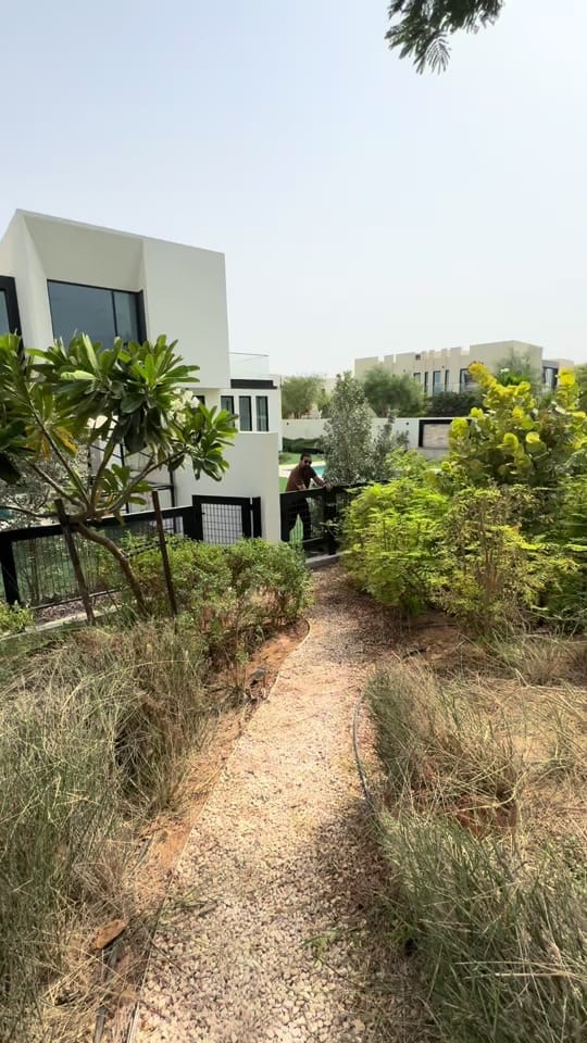 Post 8 by Danish Bashir Abbasi on TikTok (video)