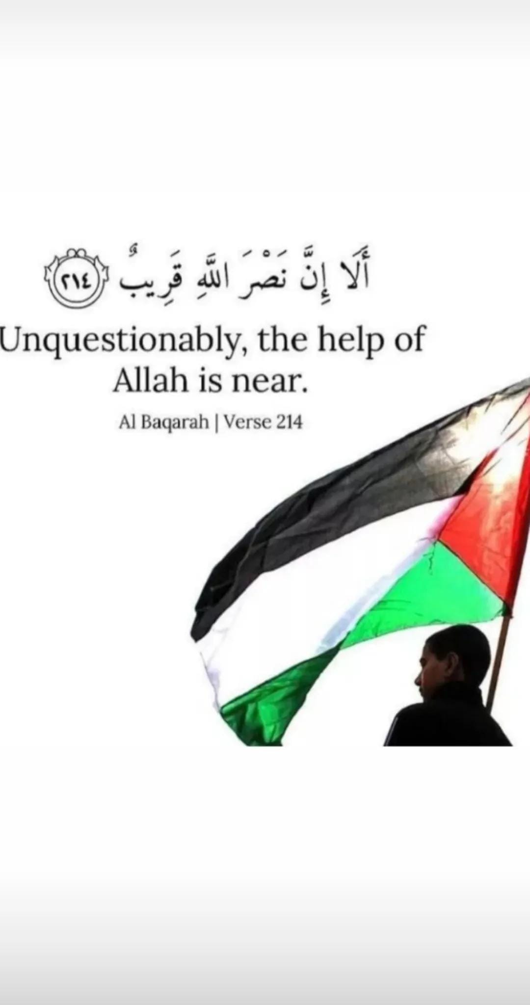 Post 10 by أحً ـمِـدُ آلَرَدُآيّدُةُ🇯🇴 on TikTok (video)