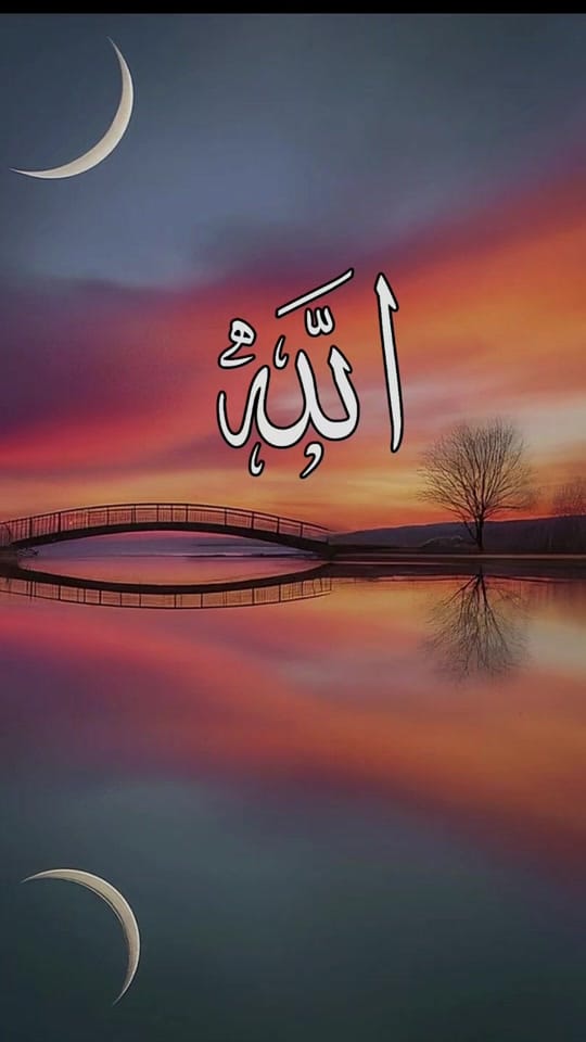 Post 7 by Janat☘️_02.02.2020 on TikTok (video)