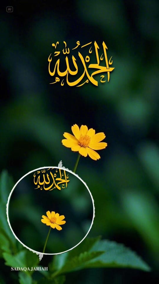Post 3 by Janat☘️_02.02.2020 on TikTok (video)