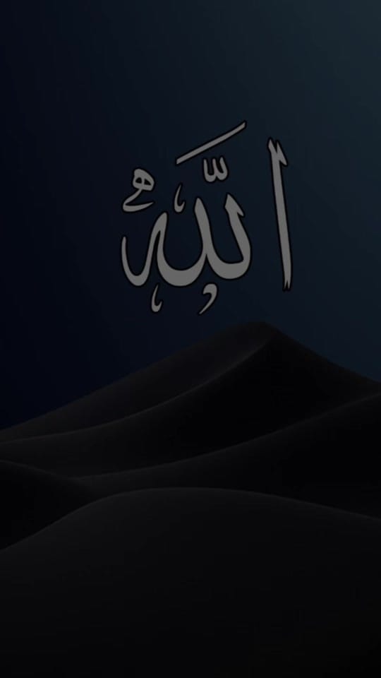 Post 8 by Janat☘️_02.02.2020 on TikTok (video)