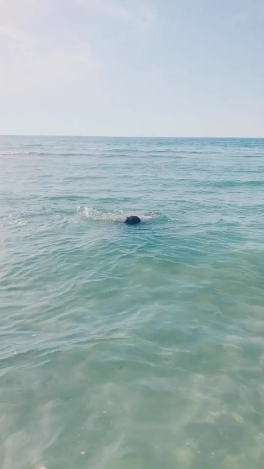 Post 4 by Xxxxms on TikTok (video)