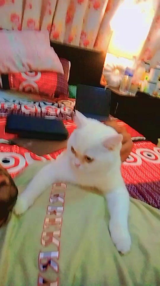 Post 1 by S.H on TikTok (video)