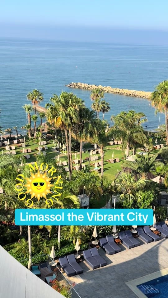 Post 6 by GeorgesChehwane on TikTok (video)