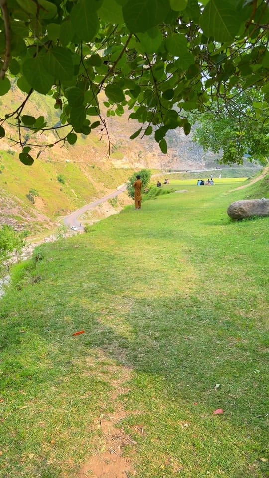 Post 4 by Mian Realty Hub on TikTok (video)
