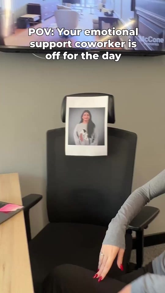 Post 6 by McCone Properties on TikTok (video)