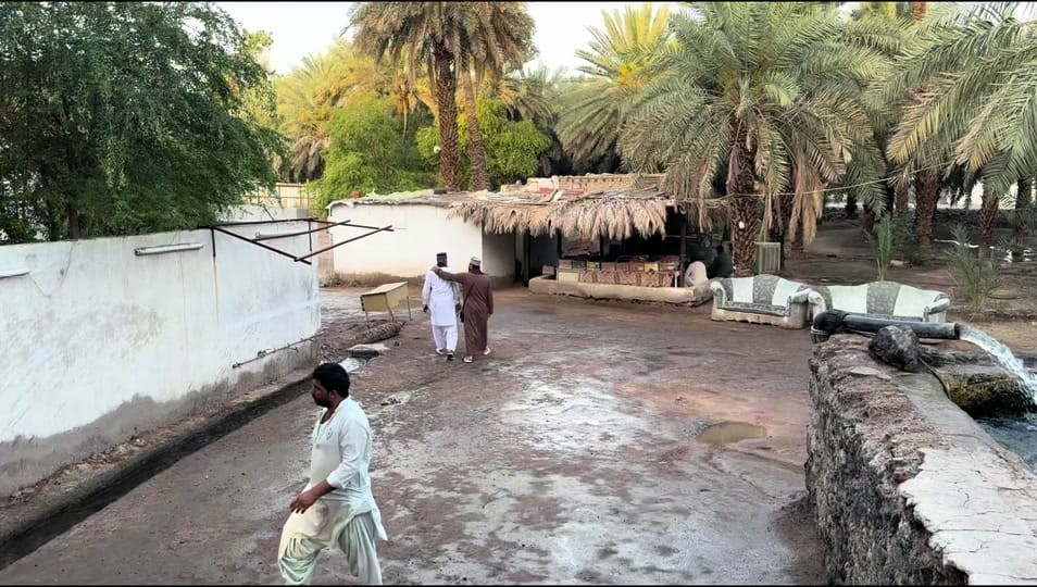 Post 8 by Engr. Maaz on TikTok (video)