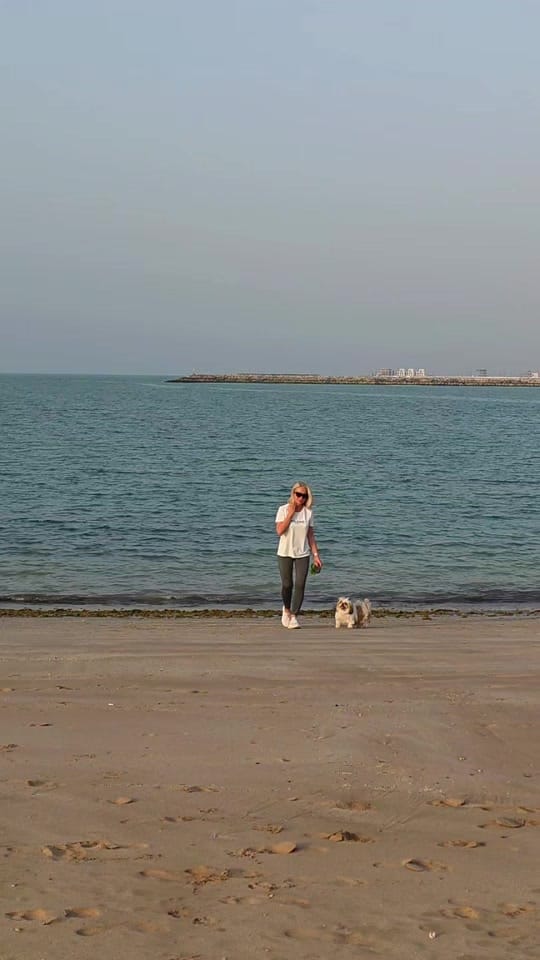 Post 9 by Sandra on TikTok (video)