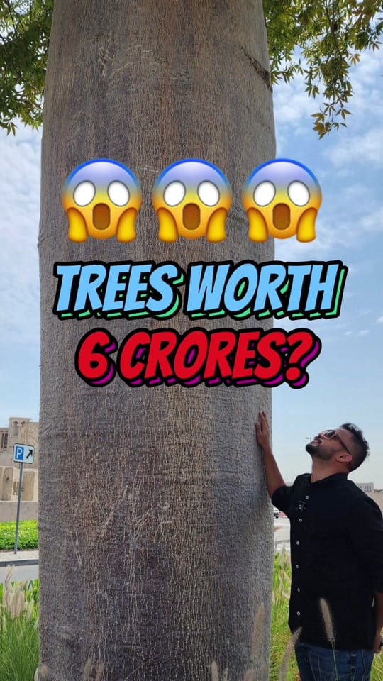 Post 10 by Sachin Official Dxb on TikTok (video)