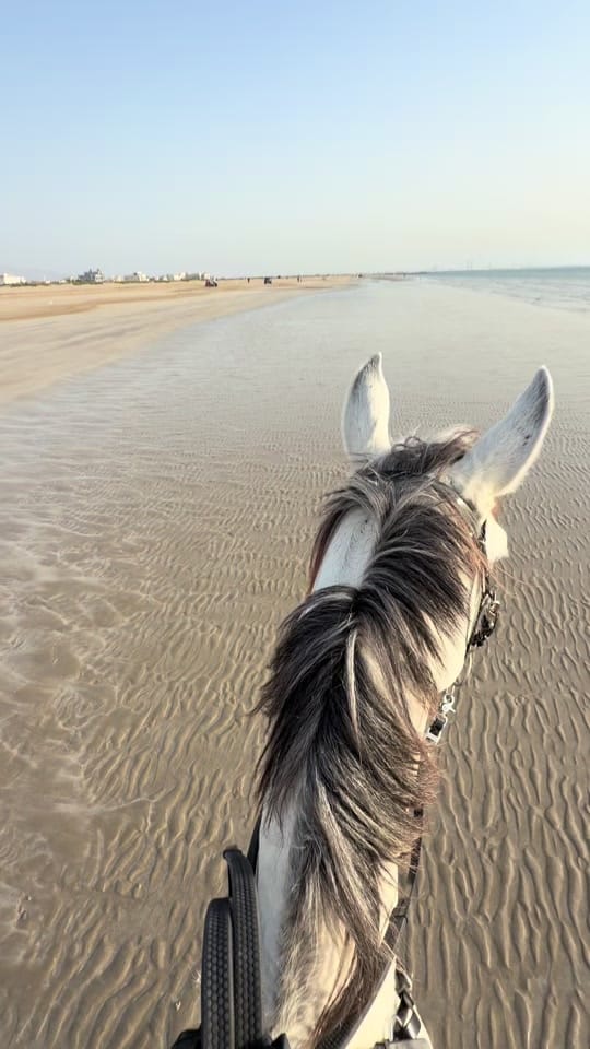 Post 9 by Yana.DXB. on TikTok (video)