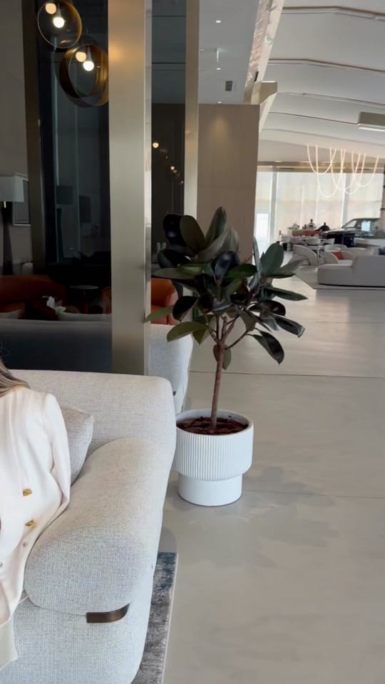 Post 8 by gertarada on TikTok (video)