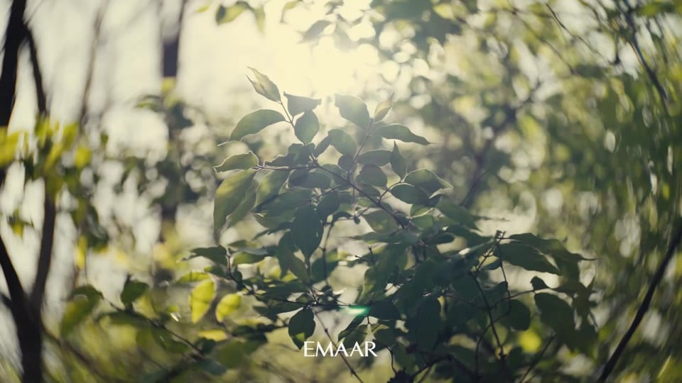 Post 3 by Ahmed Cooty أحمد كوتي on TikTok (video)