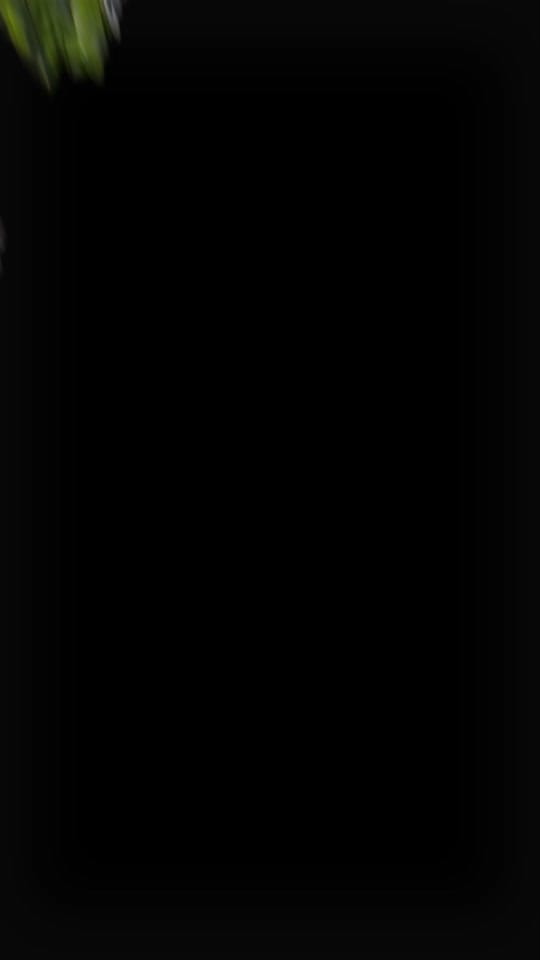 Post 3 by Loemis Properties on TikTok (video)