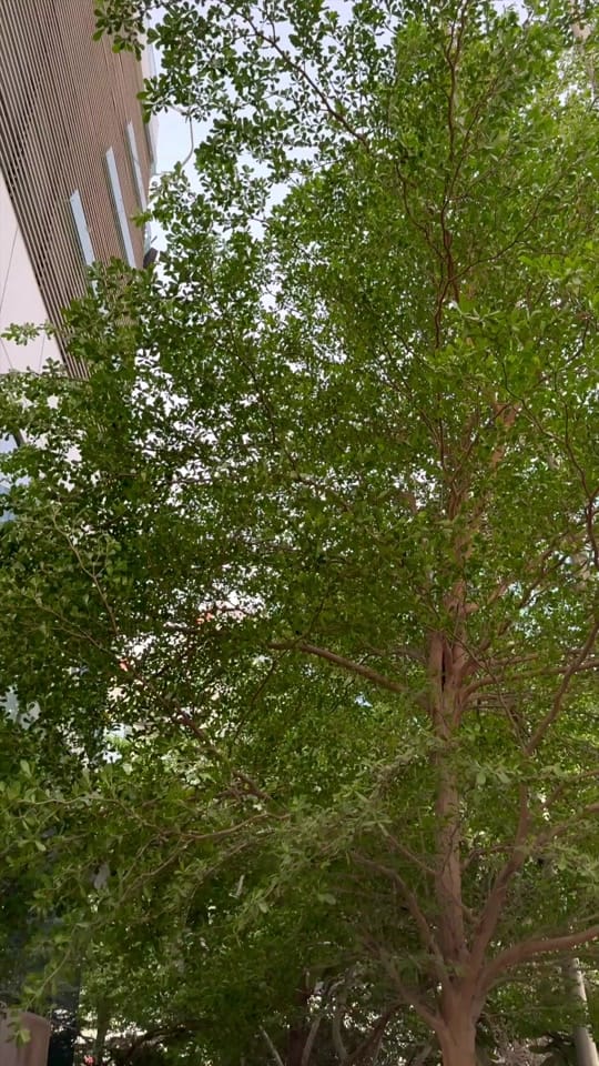 Post 9 by Loemis Properties on TikTok (video)