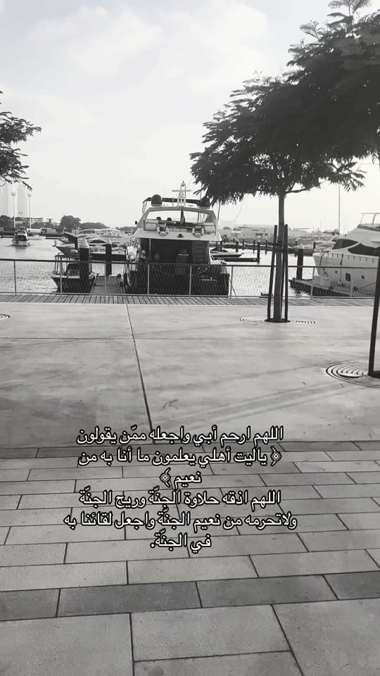 Post 6 by Sarah Rahal 🇹🇳🇦🇪 on TikTok (video)