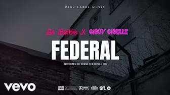 Post 6 by LABARBIE on YouTube (video)