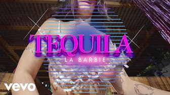 Post 5 by LABARBIE on YouTube (video)