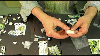 Post 9 by Barbara McGuire on YouTube (video)