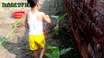 Post 2 by Animal love story on YouTube (video)