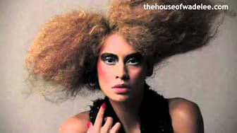 Post 1 by HairbyWadeLee on YouTube (video)