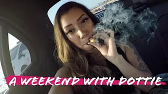 Post 5 by Dottie's World on YouTube (video)
