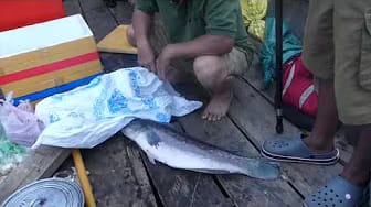 Post 1 by Aloha Kh on YouTube (video)