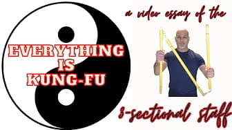 Post 4 by Austin Kung Fu Academy on YouTube (video)