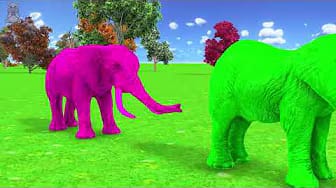 Post 1 by Wild Animals 3D World on YouTube (video)