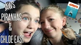Post 2 by Emma Rayne Lyle on YouTube (video)