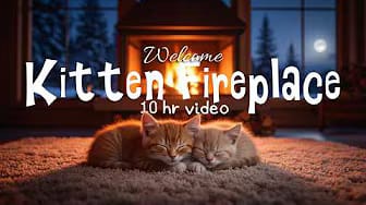 Post 10 by Neural Serenity Labs on YouTube (video)