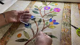 Post 6 by Karen McTavish on YouTube (video)