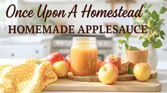 Post 1 by Once Upon A Homestead on YouTube (video)