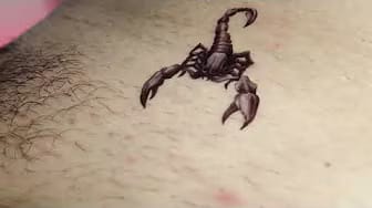 Post 7 by Eva Tattoo on YouTube (video)
